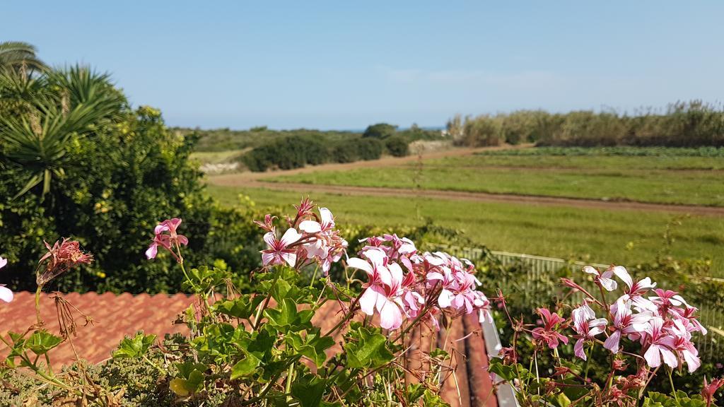 Villa Rosamarina Rosa Marina Eksteriør bilde